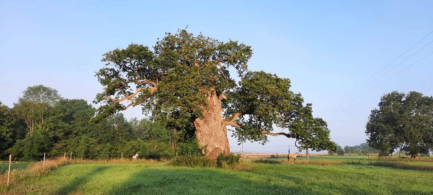 Les prairies de Le Gan Eden